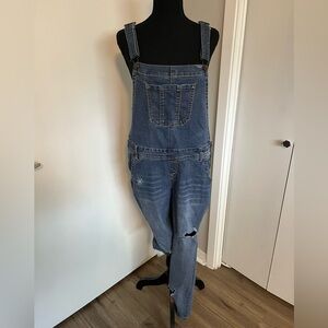 Wallflower Blue Denim Overalls